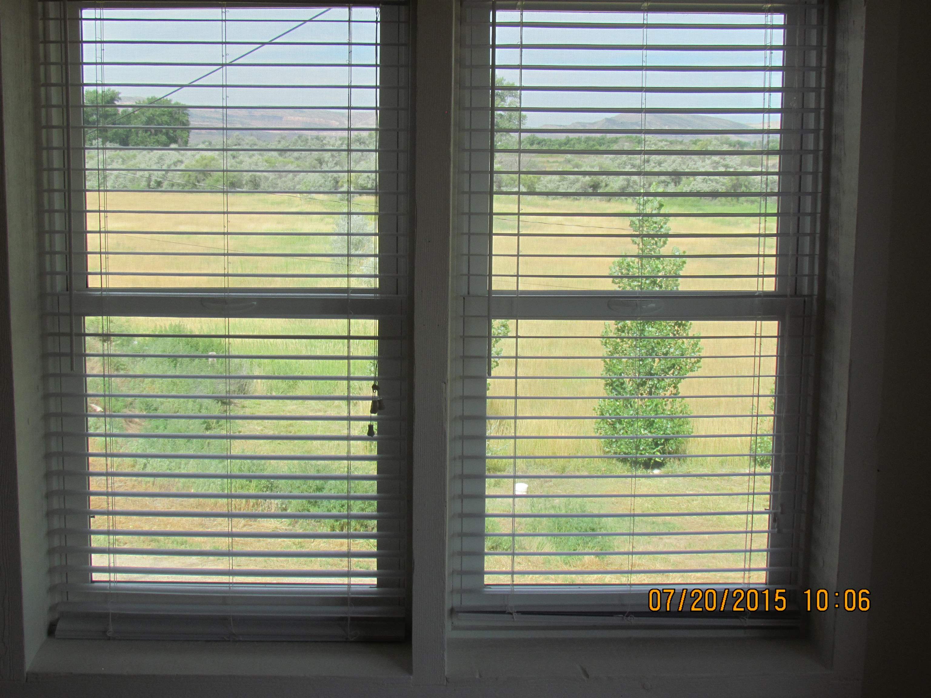 1179 17 Road Fruita, CO 81521 - Photo 21 of 41 a view of a green room and a window