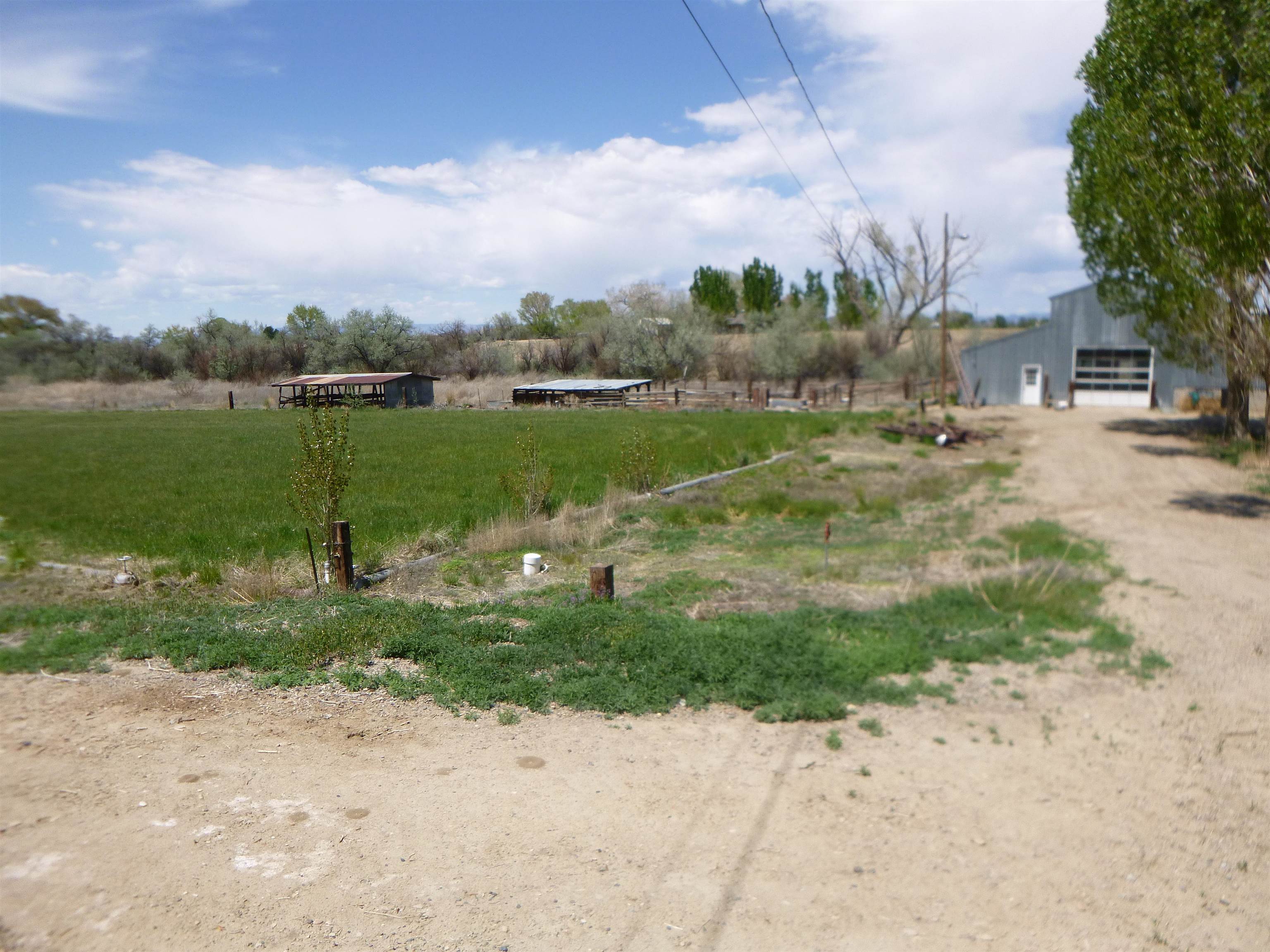 1179 17 Road Fruita, CO 81521 - Photo 37 of 41 a view of a park with large trees