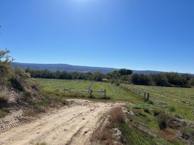 1179 17 Road Fruita, CO 81521 - Photo 38 of 41 a view of an outdoor space with mountain view