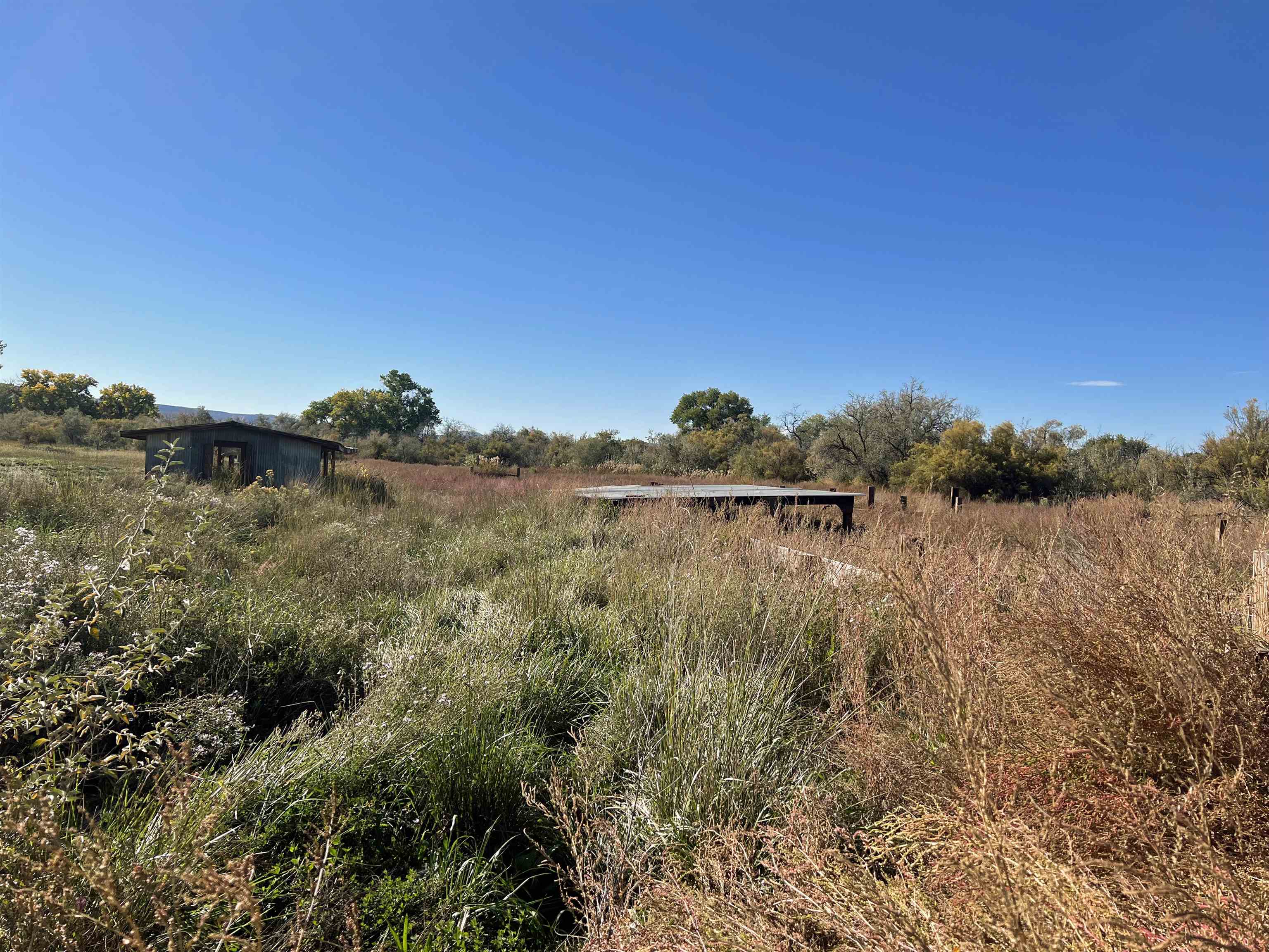 1179 17 Road Fruita, CO 81521 - Photo 40 of 41 a view of lake with green space