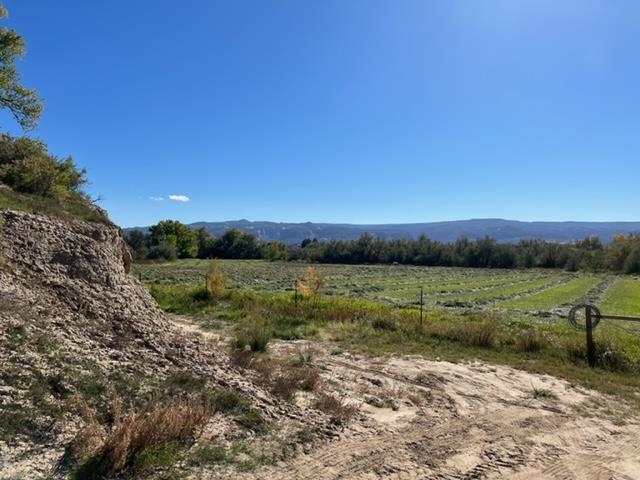 1179 17 Road Fruita, CO 81521 - Photo 6 of 41 a view of lake with green space
