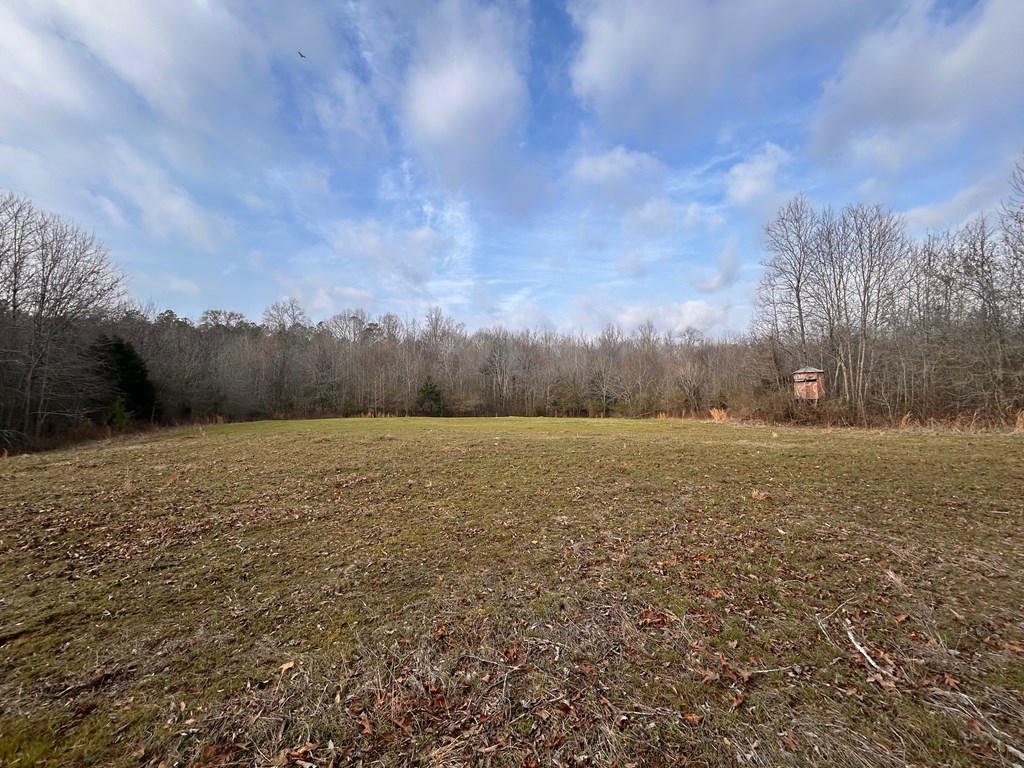 77 Hemlock Drive Clinton, SC 29325 - Photo 4 of 18