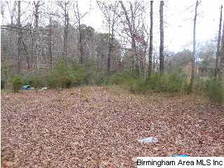 5772 N Road Pinson, AL 35126 - Photo 2 of 3