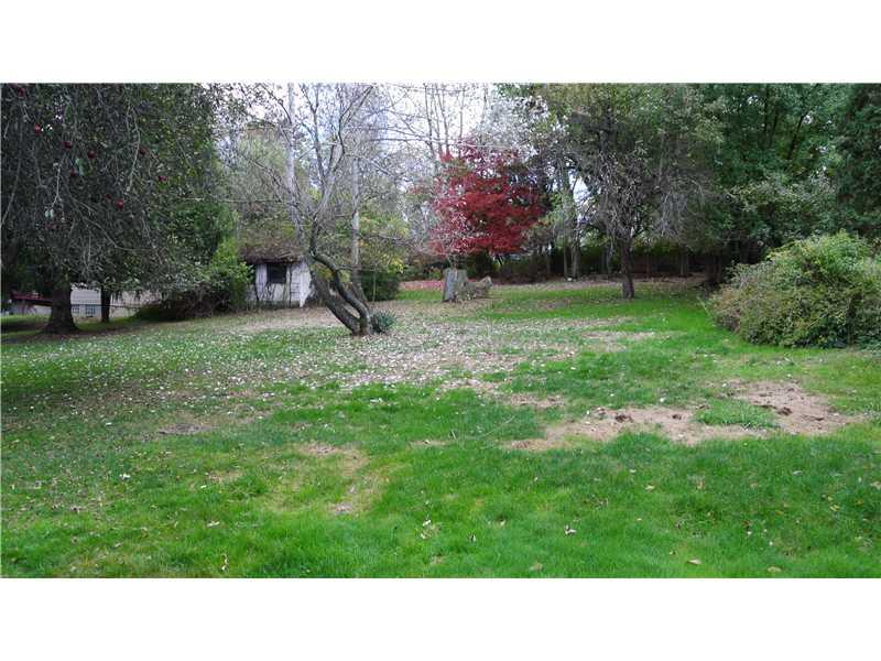 5409 Library Road Bethel Park, PA 15102 - Photo 8 of 24 Yard/Garden. Football field size yard!! South park is another 100 yards behind!