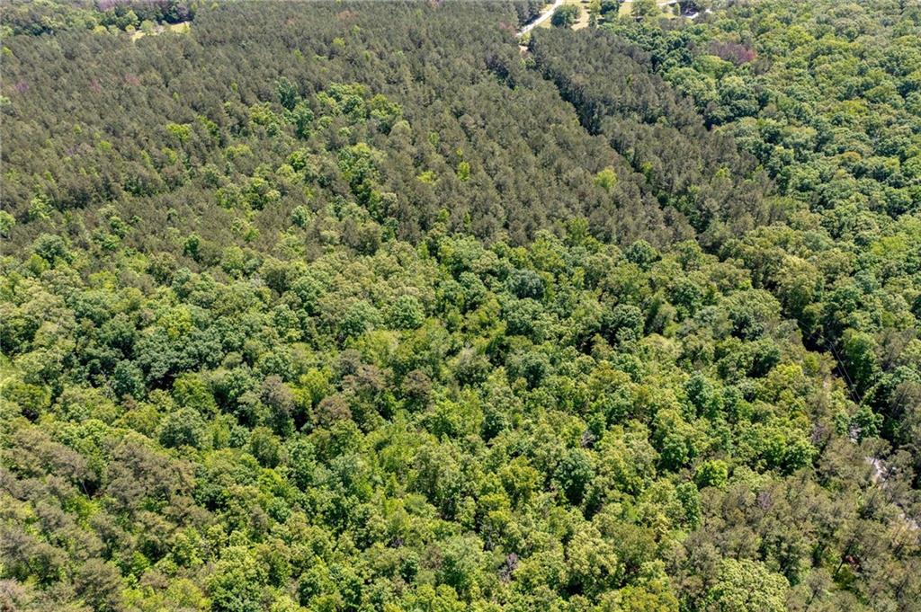 0 Timberwood Road Northwest White, GA 30184 - Photo 13 of 25 a view of a large yard with lots of green space