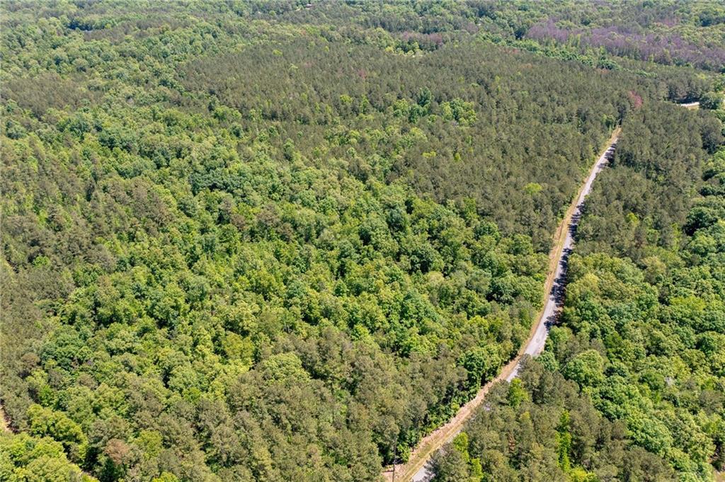 0 Timberwood Road Northwest White, GA 30184 - Photo 15 of 25 a view of a forest with a bench