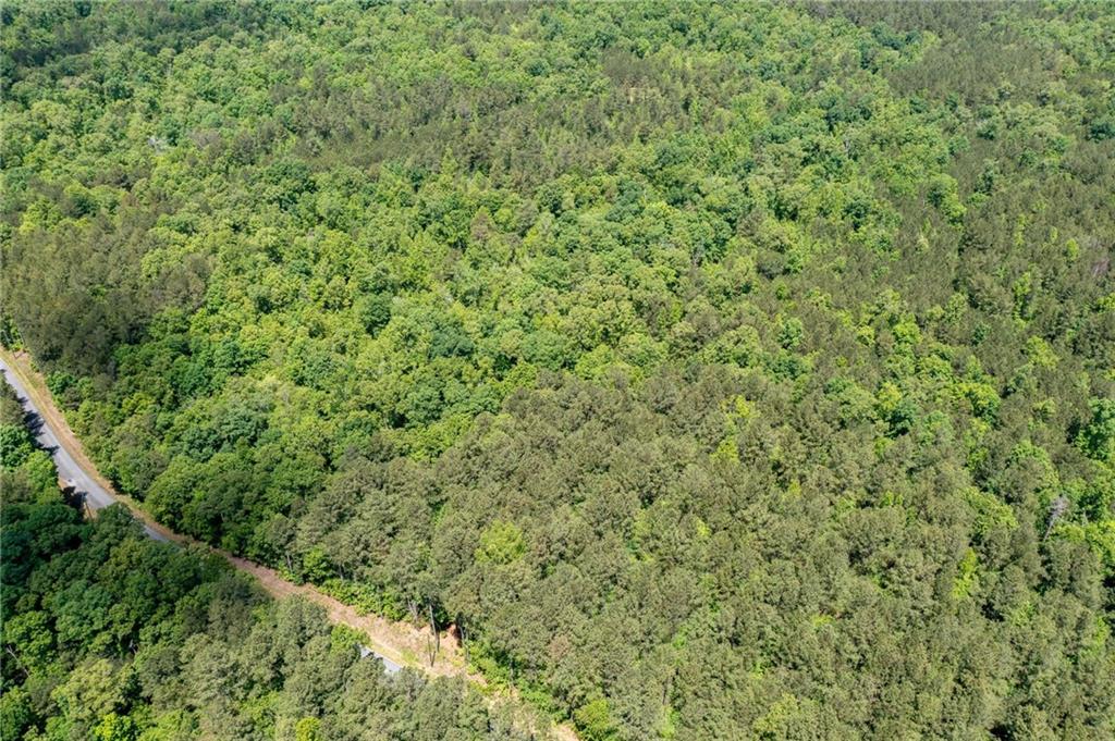 0 Timberwood Road Northwest White, GA 30184 - Photo 22 of 25 a view of a green field