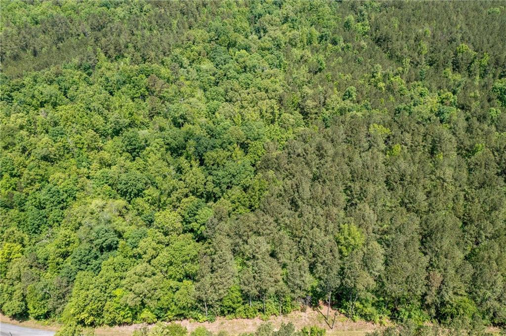 0 Timberwood Road Northwest White, GA 30184 - Photo 24 of 25 a view of a green field
