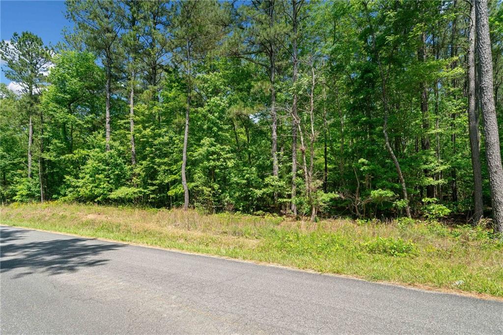 0 Timberwood Road Northwest White, GA 30184 - Photo 3 of 25 a view of a yard with potted plants