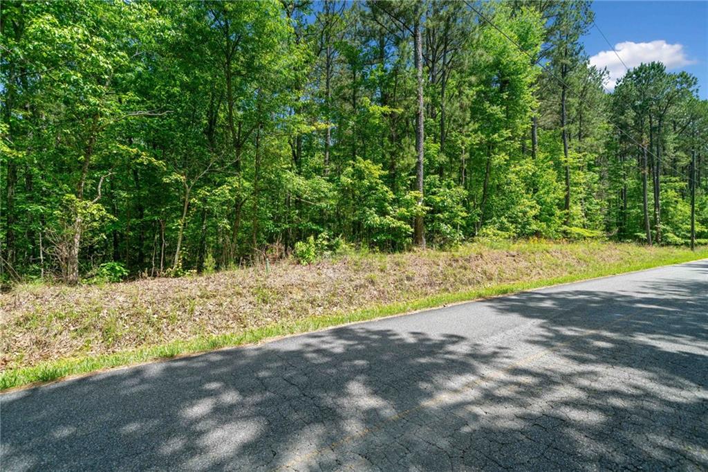 0 Timberwood Road Northwest White, GA 30184 - Photo 4 of 25 a view of a yard with a tree