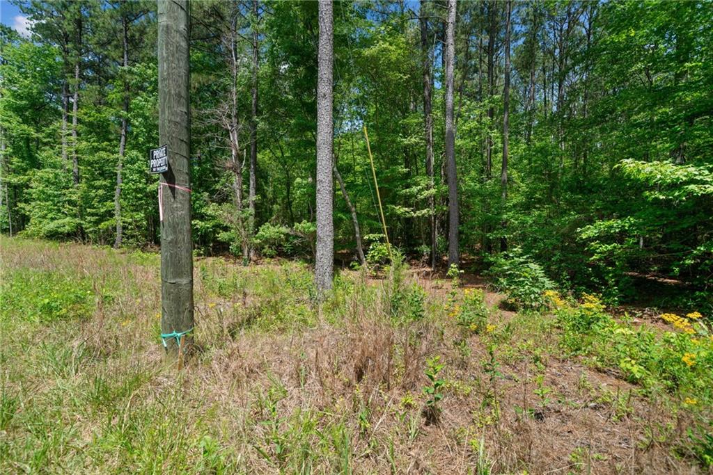 0 Timberwood Road Northwest White, GA 30184 - Photo 5 of 25 a view of outdoor space and garden