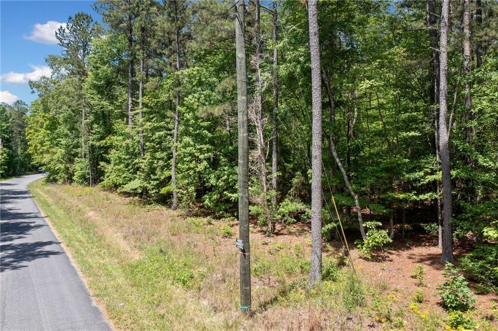 0 Timberwood Road Northwest White, GA 30184 - Photo 6 of 25 a view of a yard with plants and large trees