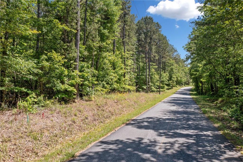 0 Timberwood Road Northwest White, GA 30184 - Photo 7 of 25 a view of a pathway both side of yard