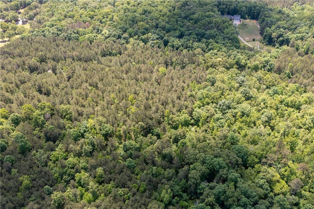 0 Timberwood Road Northwest White, GA 30184 - Photo 8 of 25 a view of a dry yard