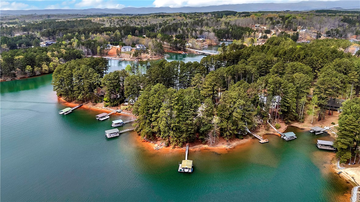 3 Wave Court Salem, SC 29676 - Photo 46 of 47