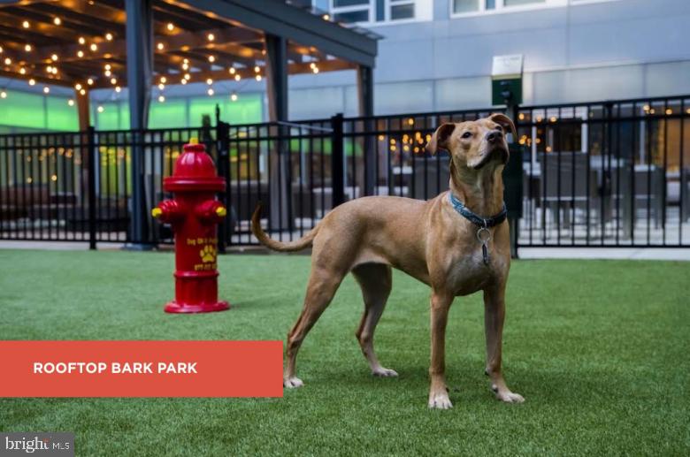 139-59 North 23rd Street, Unit 317 Philadelphia, PA 19103 - Photo 5 of 19