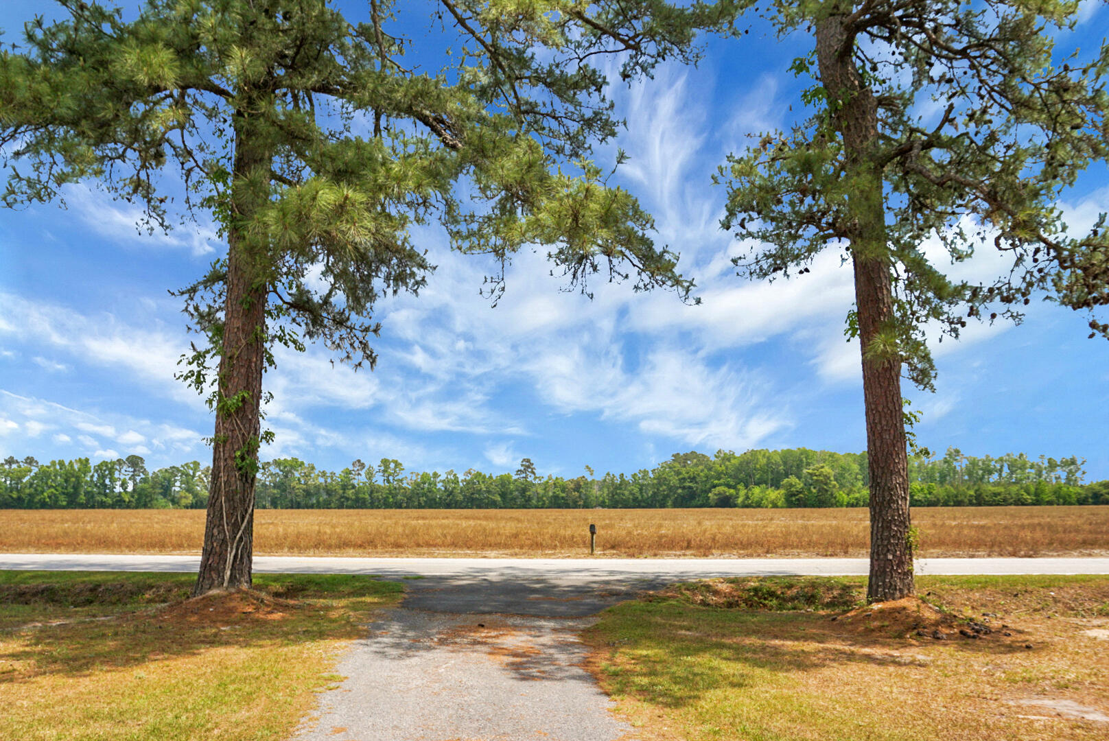 605 Country Club Road Andrews, SC 29510 - Photo 2 of 50 DSC02133