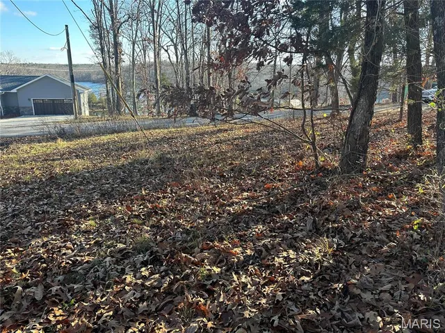 $50,000 | 35 Wagon Creek Loop, Creal Springs, IL 62922