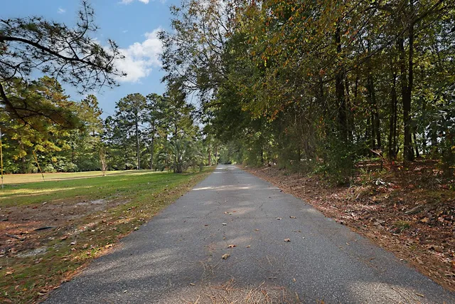 a view of a yard with large trees