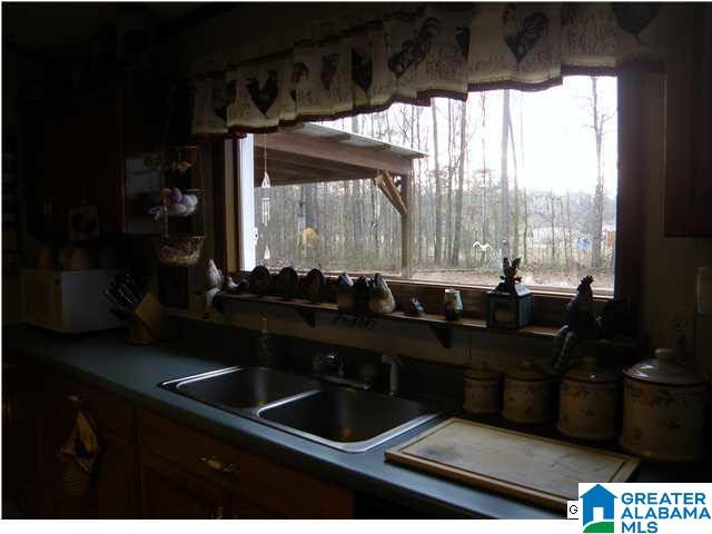 1499 Ray Wyatt Road Ashville, AL 35953 - Photo 10 of 29