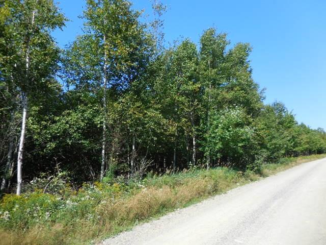 83 Bulldog Road West Forks, ME 04985 - Photo 7 of 11 20180817105405792529000000-o