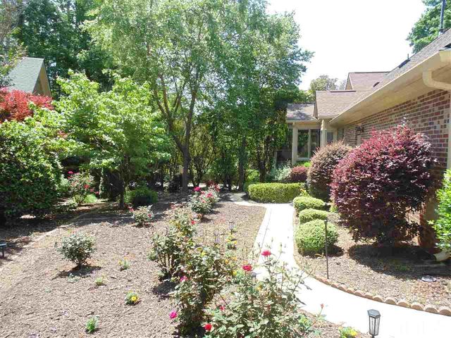 a view of a park with plants and trees