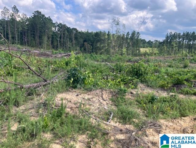 11482 Camp Oliver Road Adger, AL 35006 - Photo 24 of 48
