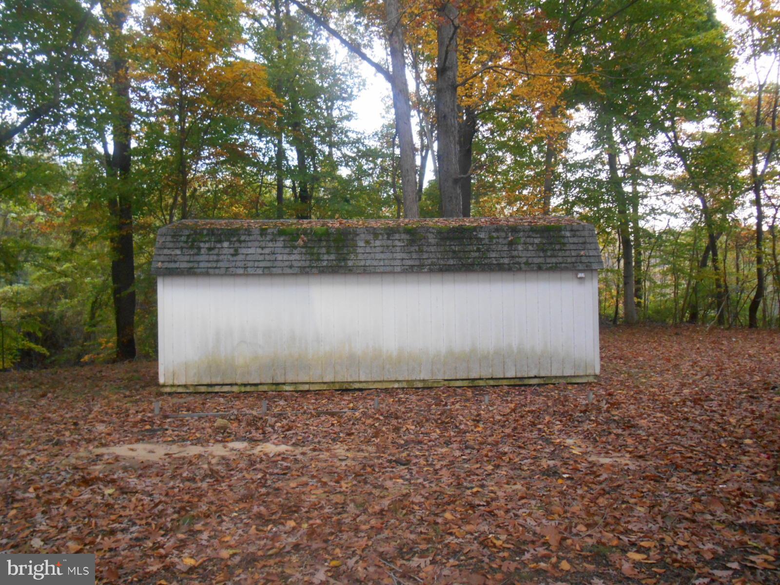7302 Livingston Road Fort Washington, MD 20744 - Photo 13 of 13 Yard
