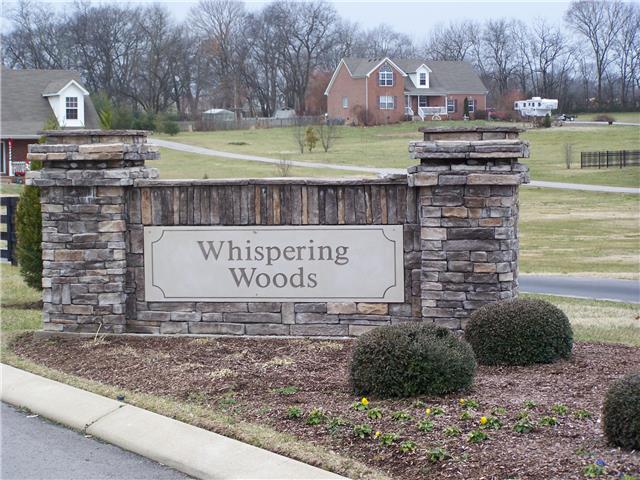 1033 Hummingbird Lane Spring Hill, TN 37174 - Photo 19 of 19