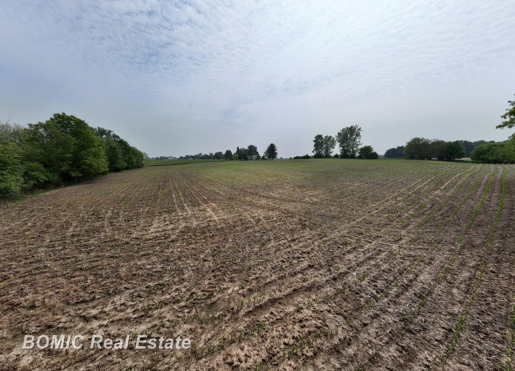 Vl Fulmer Road Millington, MI 48746 - Photo 3 of 13