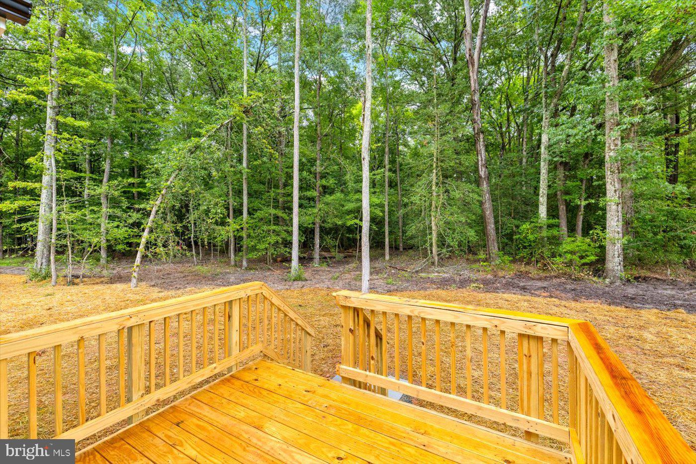 62 Rose Way Colonial Beach, VA 22443 - Photo 10 of 43 a view of a swimming pool with a patio and backyard of house
