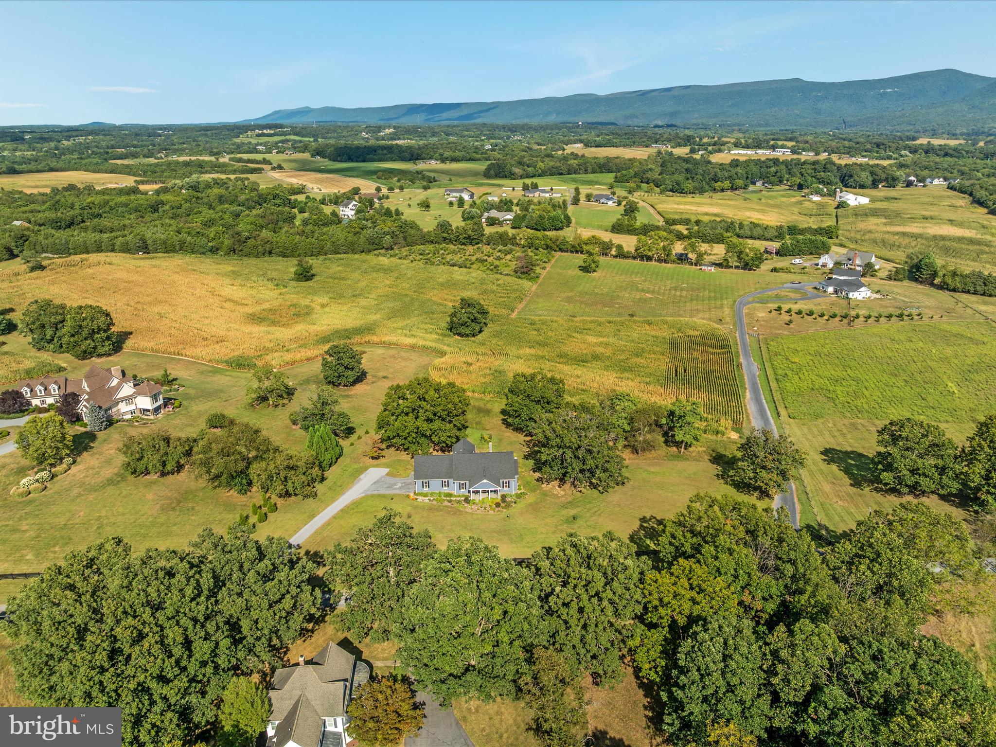 1857 Polk Road Edinburg, VA 22824 - Photo 45 of 55