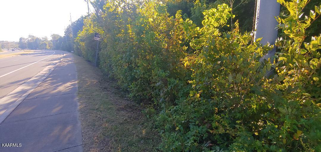 Oak Ridge Turnpike Oak Ridge, TN 37830 - Photo 3 of 3 thumbnail