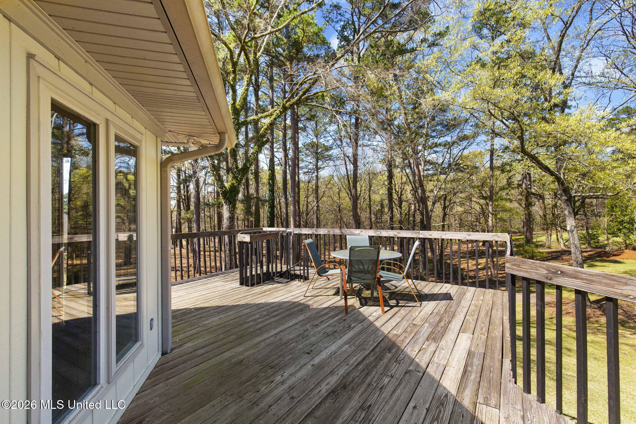 6145 Wirtz Road Flowood, MS 39232 - Photo 29 of 83 Backporch