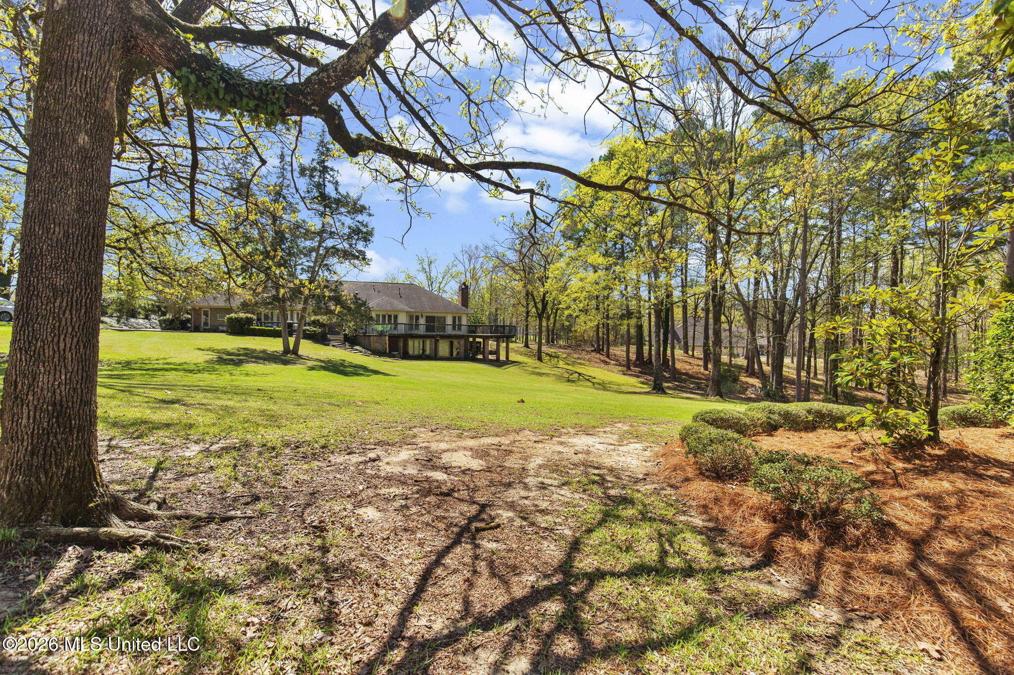 6145 Wirtz Road Flowood, MS 39232 - Photo 37 of 83 Backyard