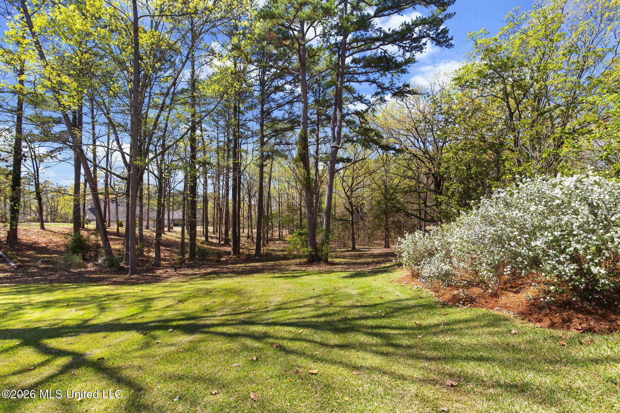 6145 Wirtz Road Flowood, MS 39232 - Photo 38 of 83 Backyard
