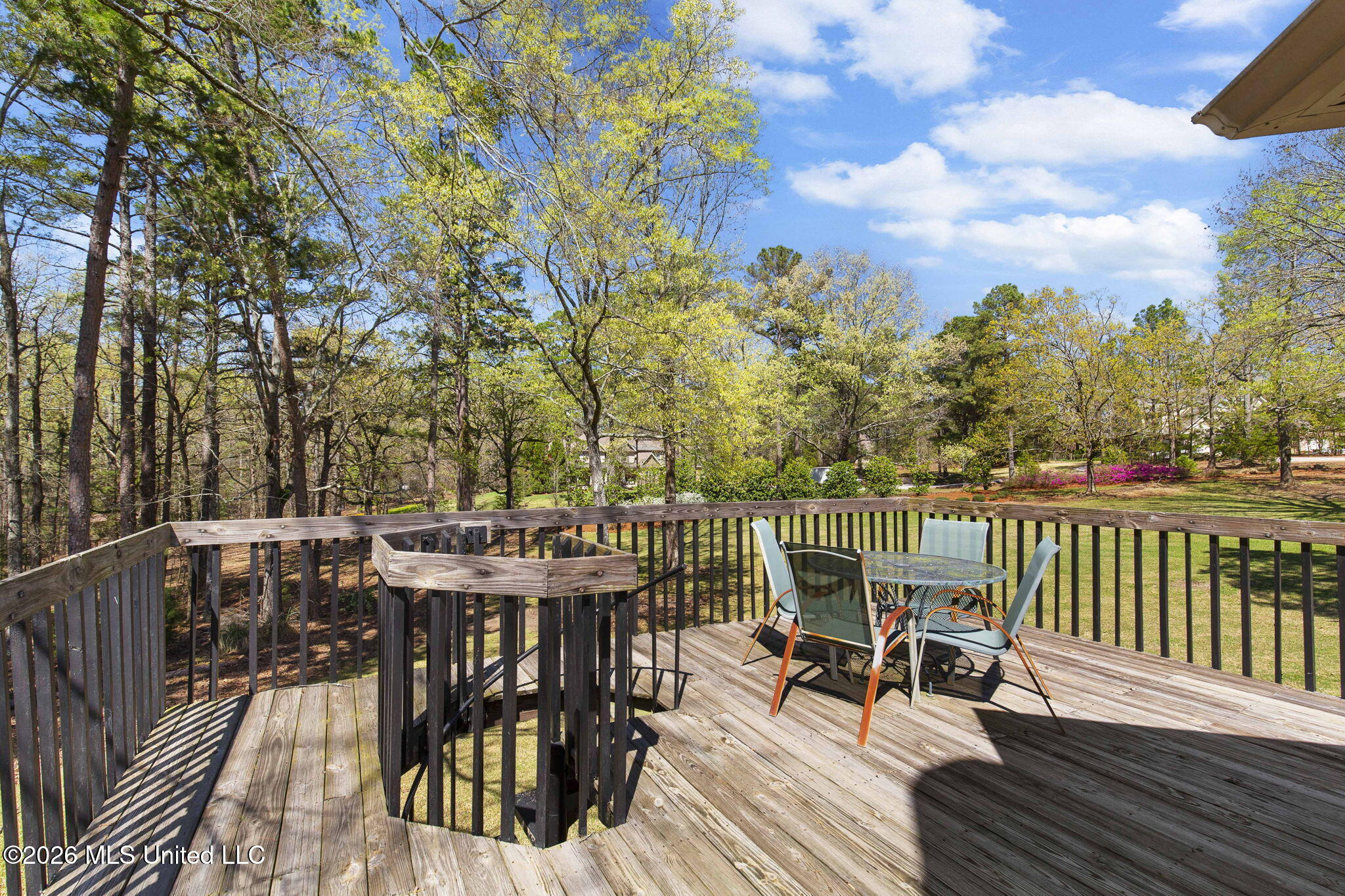 6145 Wirtz Road Flowood, MS 39232 - Photo 45 of 78 Backporch
