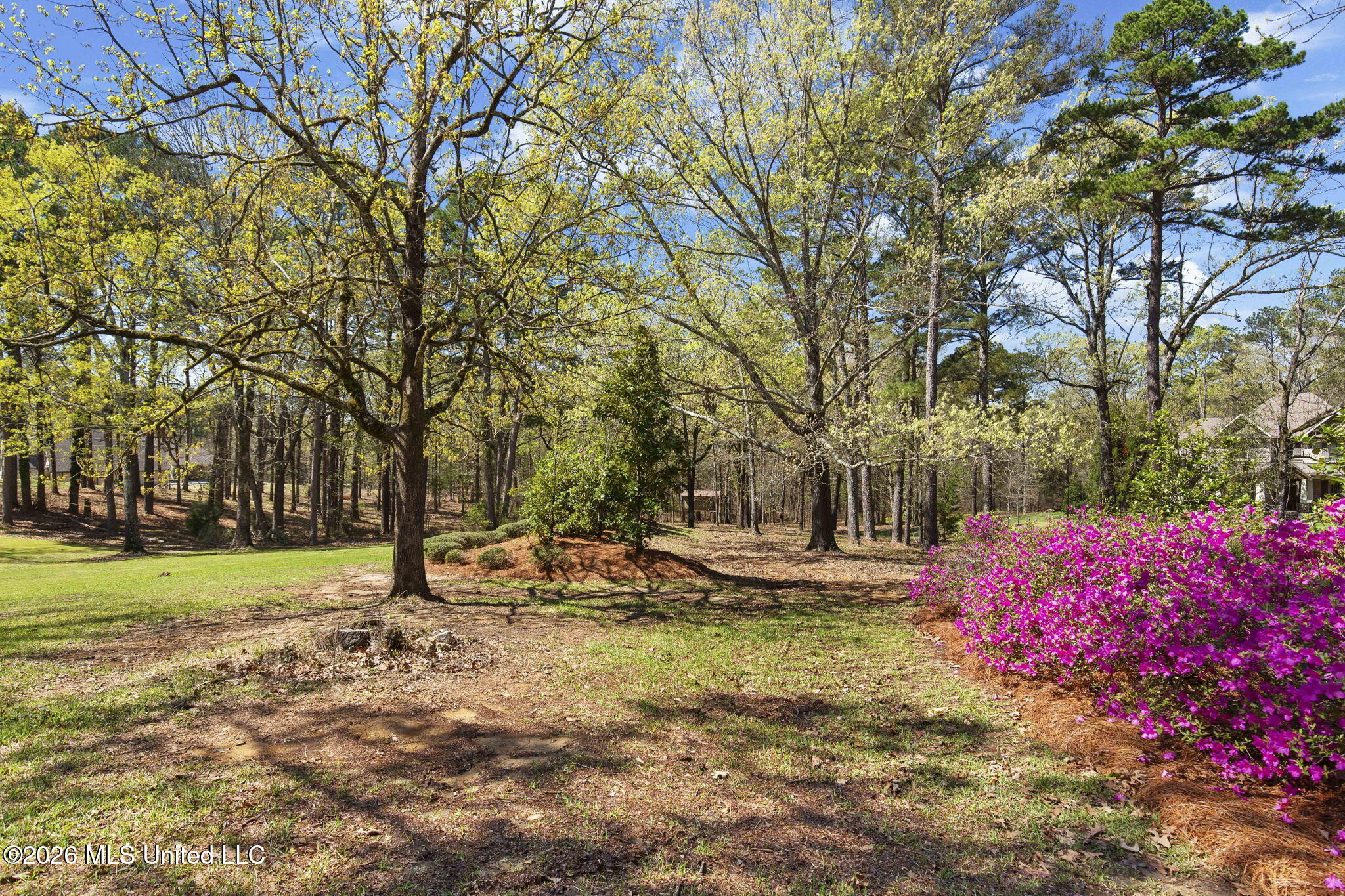 6145 Wirtz Road Flowood, MS 39232 - Photo 51 of 78 Backyard