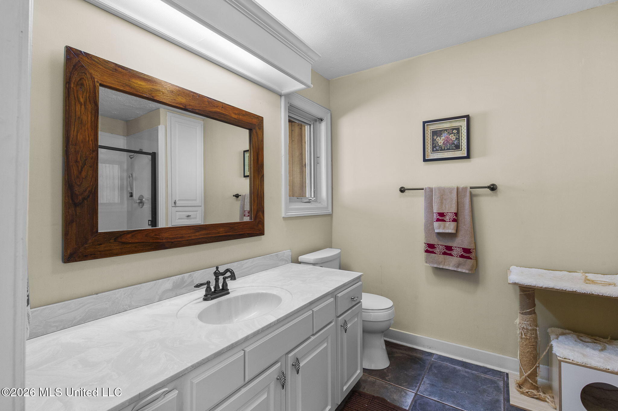 6145 Wirtz Road Flowood, MS 39232 - Photo 74 of 78 Basement Bathroom