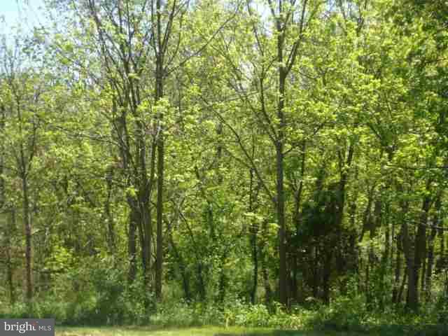 1355 Old Quaker Road Etters, PA 17319 - Photo 15 of 15 Gallery Image 15