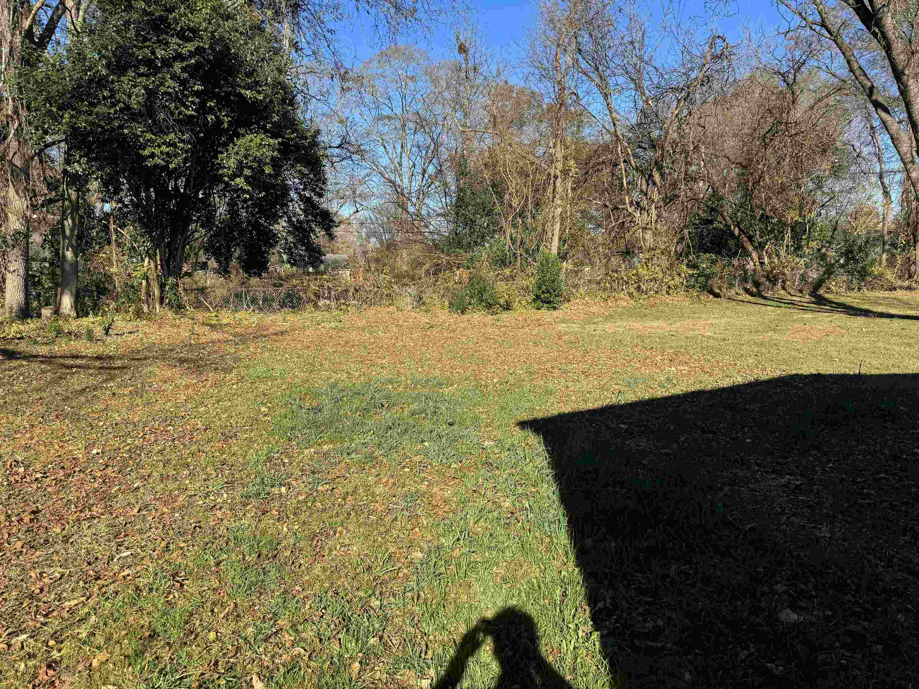 109 Crosby Street Gaffney, SC 29340 - Photo 4 of 19