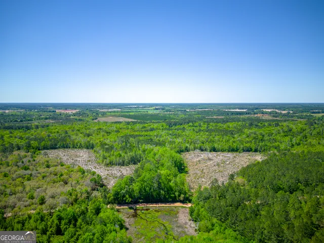 $324,375 | 0 Ward Boyette Road, Bristol, GA 31518