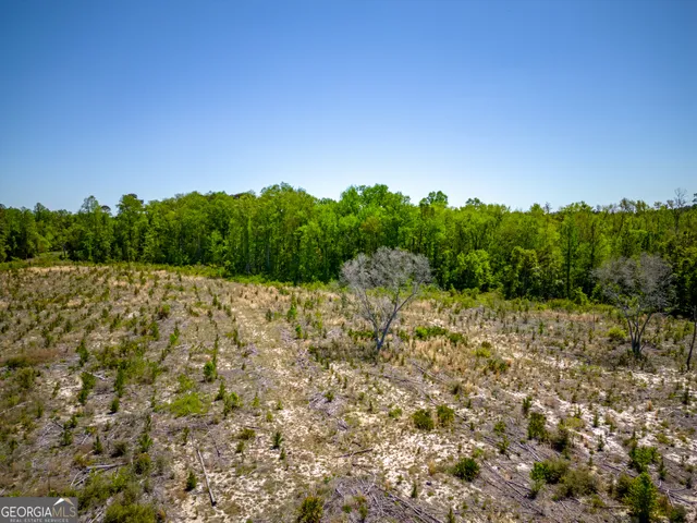 $324,375 | 0 Ward Boyette Road, Bristol, GA 31518