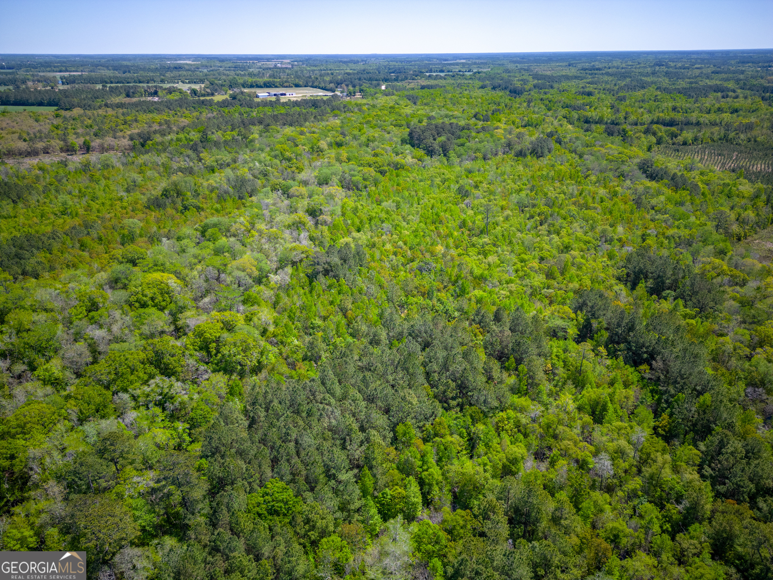 0 Ward Boyette Road Bristol, GA 31518 - Photo 2 of 12