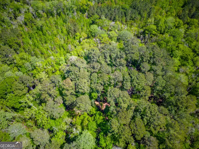 $324,375 | 0 Ward Boyette Road, Bristol, GA 31518