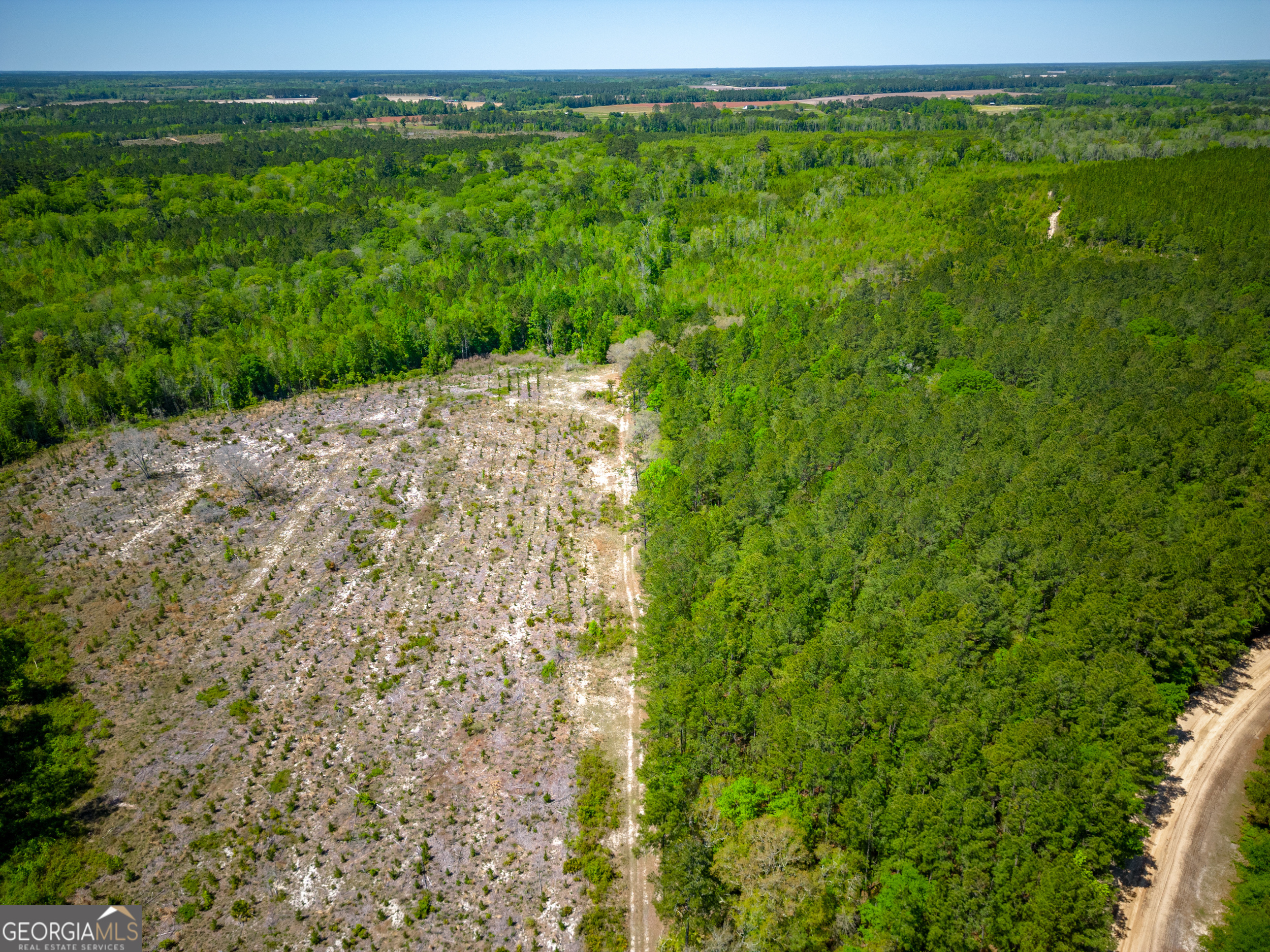 0 Ward Boyette Road Bristol, GA 31518 - Photo 4 of 12