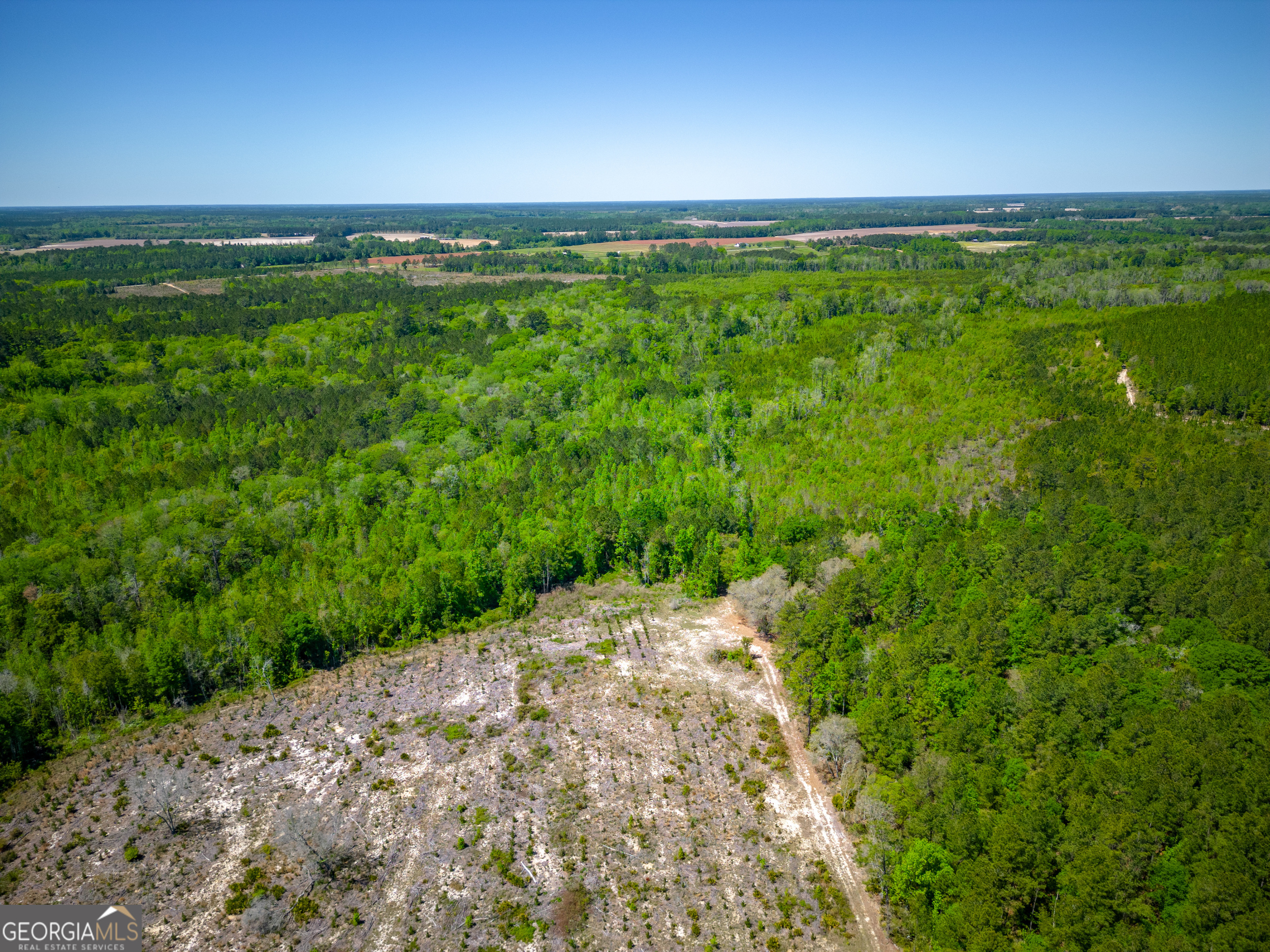 0 Ward Boyette Road Bristol, GA 31518 - Photo 5 of 12