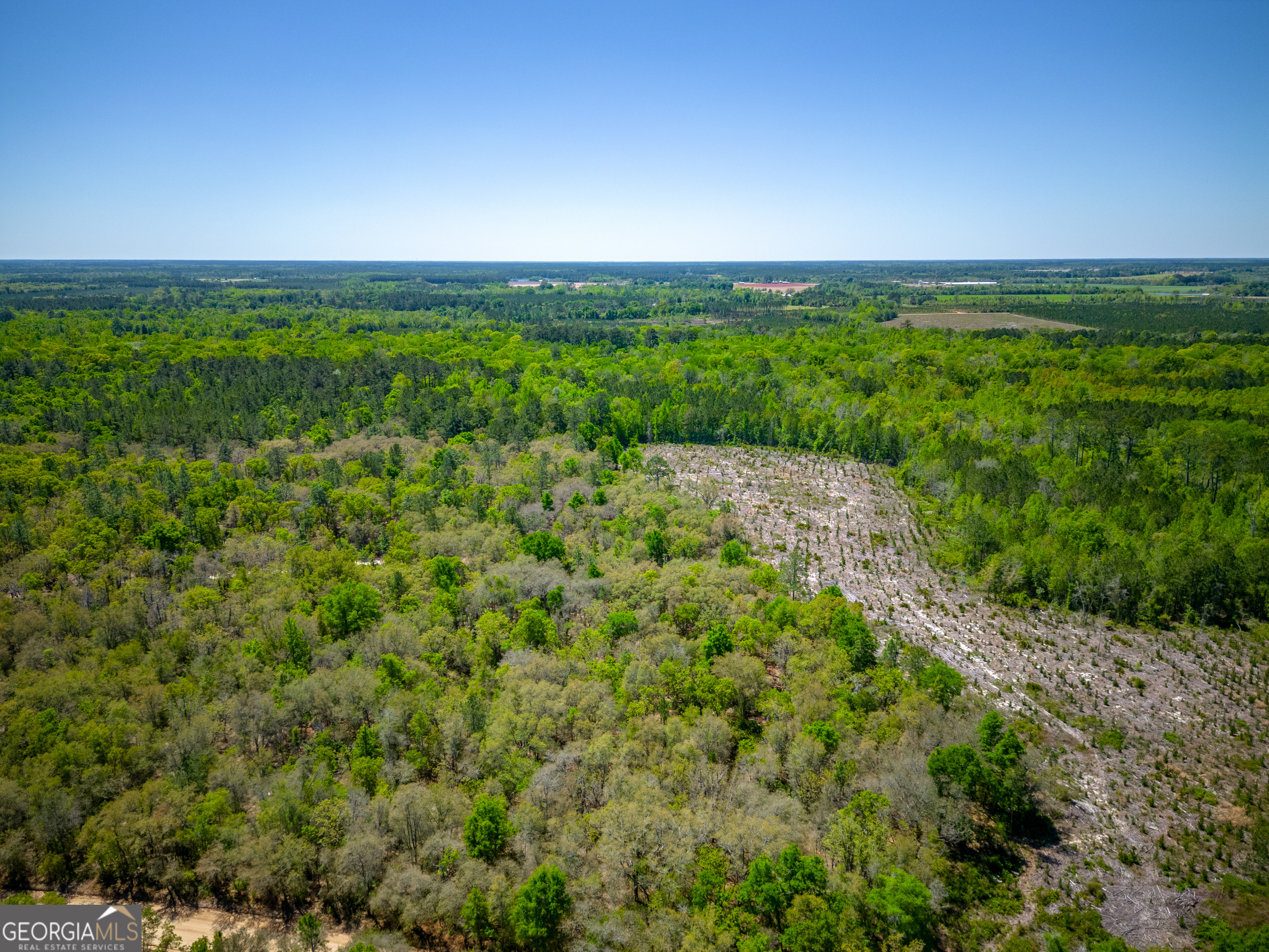 0 Ward Boyette Road Bristol, GA 31518 - Photo 6 of 12