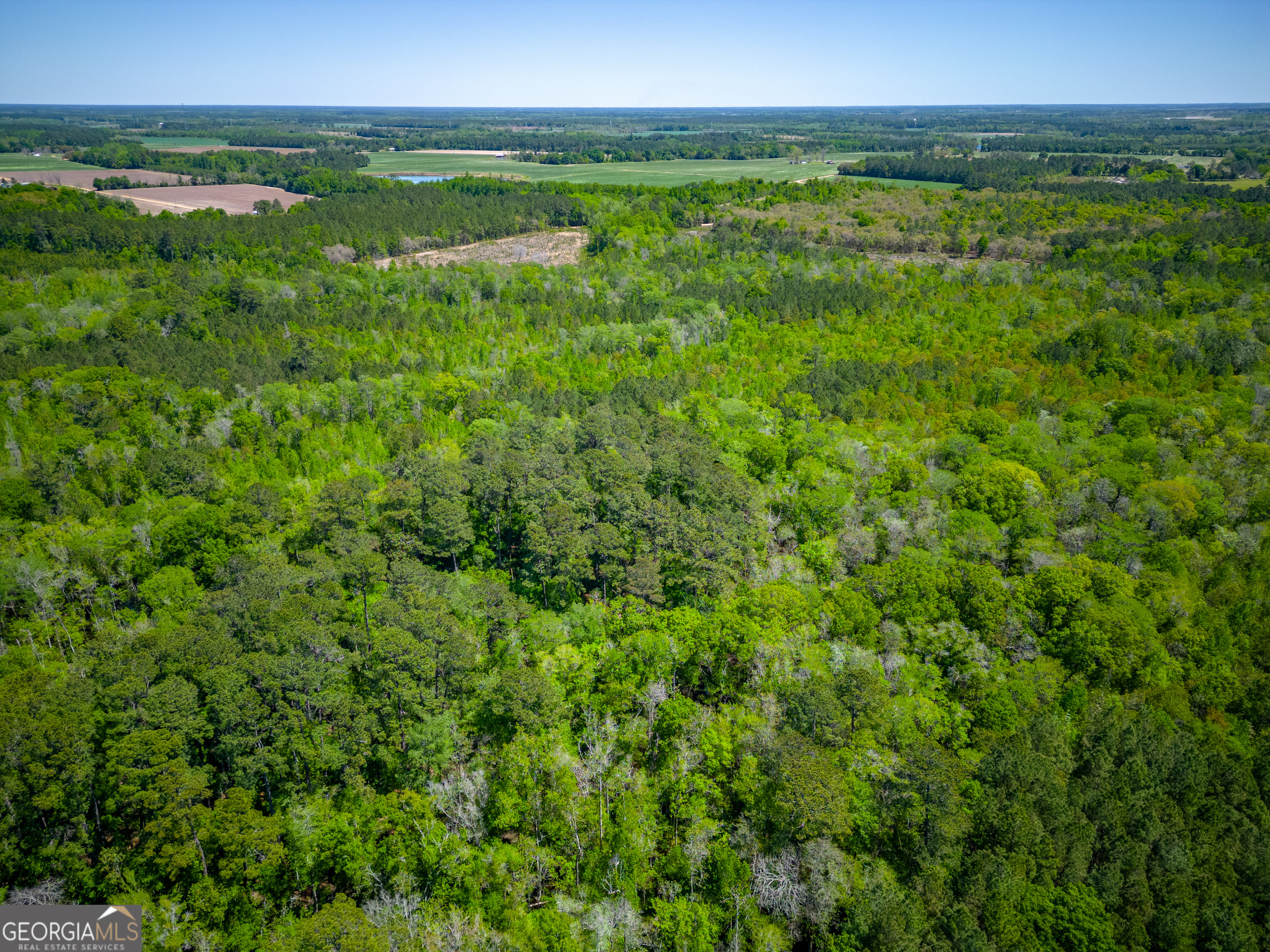 0 Ward Boyette Road Bristol, GA 31518 - Photo 7 of 12