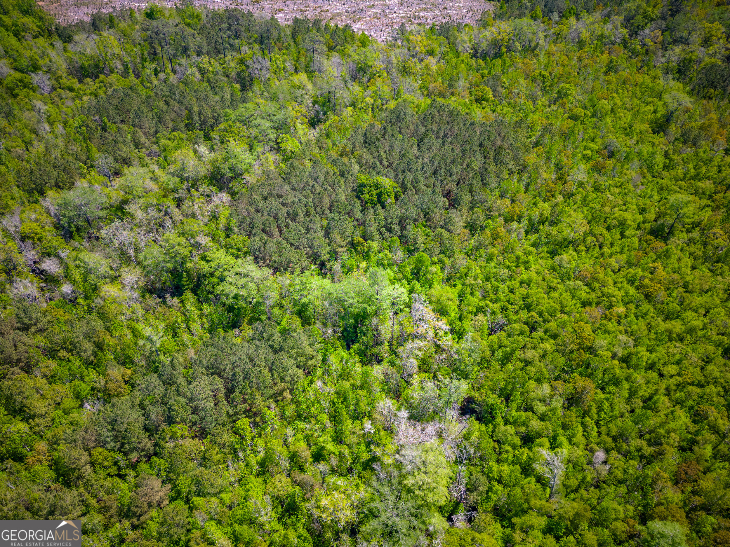 0 Ward Boyette Road Bristol, GA 31518 - Photo 8 of 12